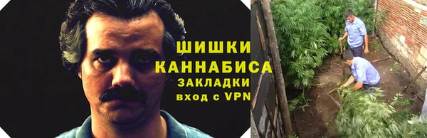индика Арсеньев