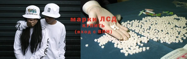 индика Арсеньев