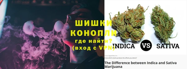 индика Арсеньев