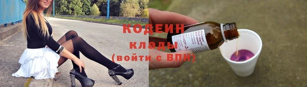 индика Арсеньев