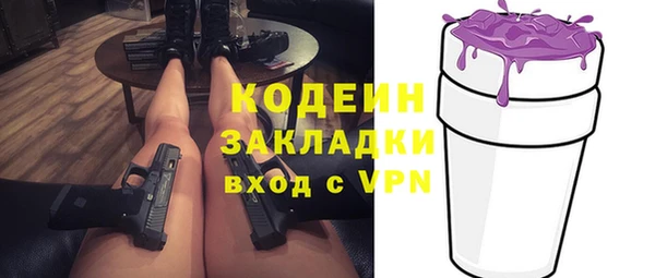 индика Арсеньев