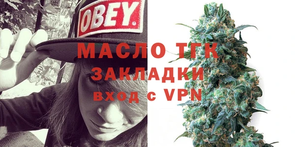 индика Арсеньев