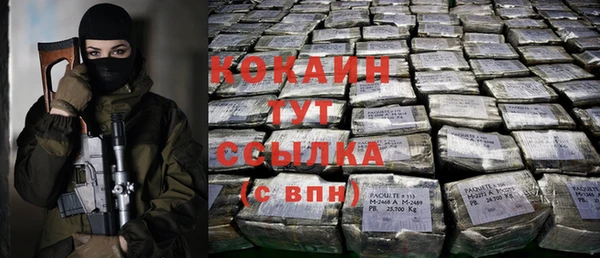 индика Арсеньев