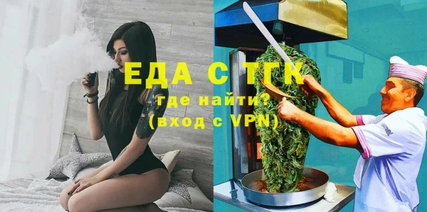индика Арсеньев