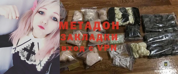 индика Арсеньев