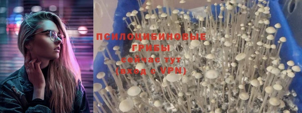 индика Арсеньев