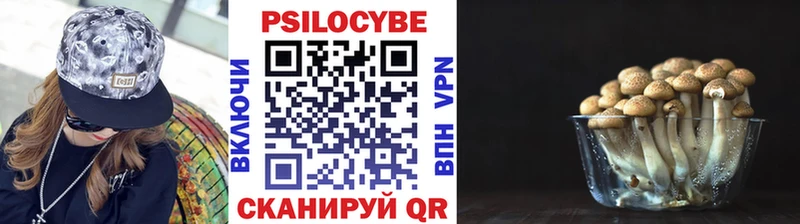 Псилоцибиновые грибы Psilocybe  Мамоново 